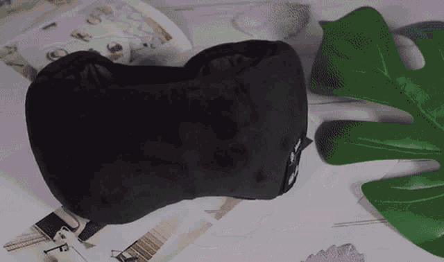 a black eye mask is sitting on top of a magazine next to a plant leaf .