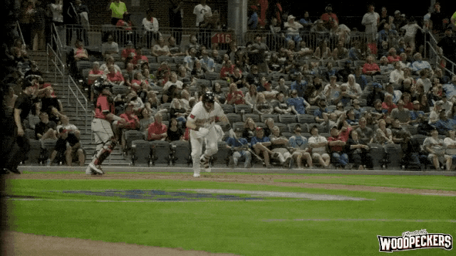 a baseball game is being played in front of a crowd that is watching the woodpeckers