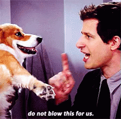 Taking Your Dog Out In Public GIF - Brooklyn Nine Nine Andy Samberg Do Not Blow This For Us GIFs