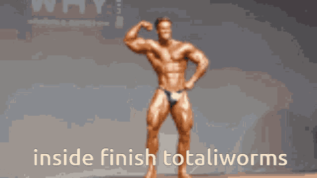 Inside Finish Totaliworms GIF - Inside Finish Totaliworms GIFs