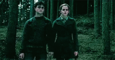 Disparition GIF - Harry Potter Harry Hermione GIFs