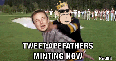 a monkey is carrying a man on his back with the words tweet apefathers minting now on the bottom