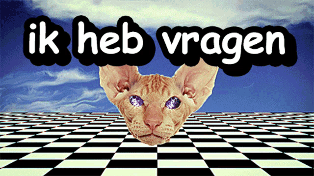 a picture of a cat with the words ik heb vragen written above it
