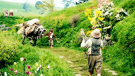 a man is walking down a path with a donkey pulling him
