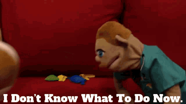 two stuffed animals on a red couch with the words i don 't know what to do now below them