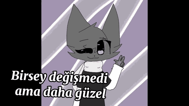 a drawing of a cat with the words " birsey degismedi ama daha güzel " on the bottom