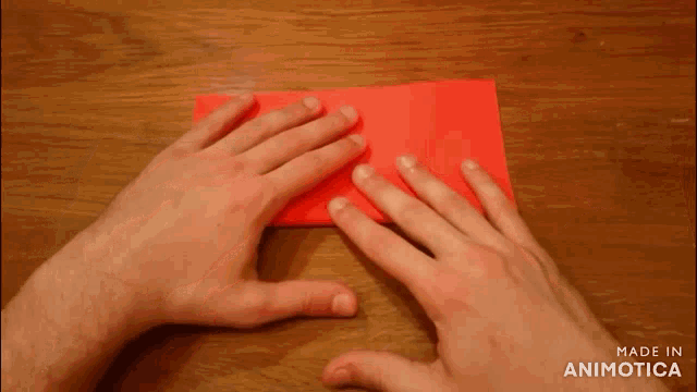 a person is holding a piece of red paper in their hands .