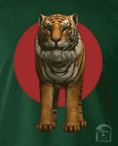 Tiger Royal Bengal Tiger GIF - Tiger Royal Bengal Tiger বাঘ GIFs