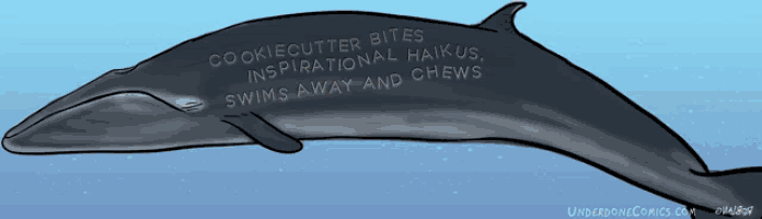 a drawing of a whale with the words " cookiecutter bites inspirational haikus swims away and chews " on it