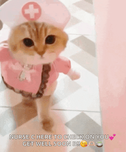 a cat dressed as a nurse with the words nurse c here to check on you get well soon b on the bottom