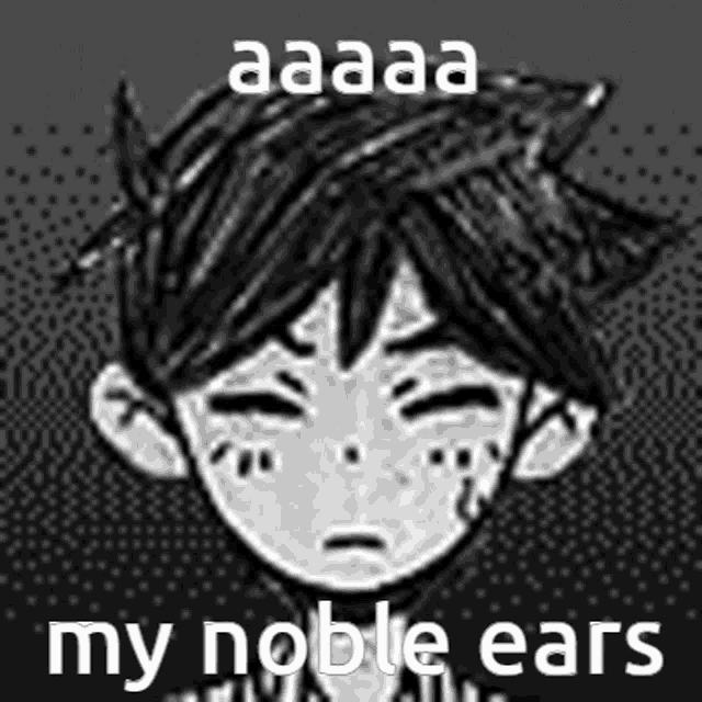 a black and white drawing of a boy with the words `` aaaa my noble ears '' written on the bottom .