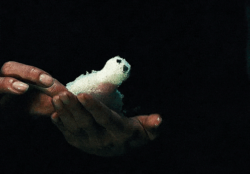 a person holding a stuffed animal with a bandage on it