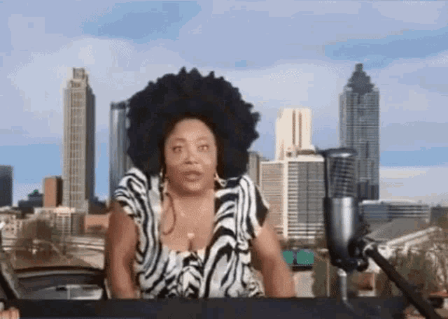 a woman with an afro is sitting in front of a microphone with a city in the background .
