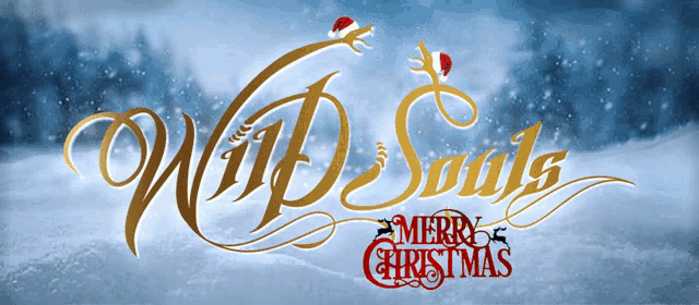 a logo for wild souls merry christmas with a snowy background