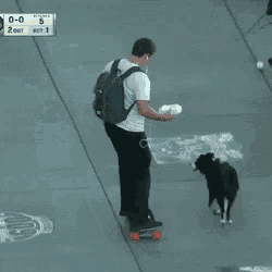 a man and a dog are walking on a sidewalk with a scoreboard in the background that says 0-5
