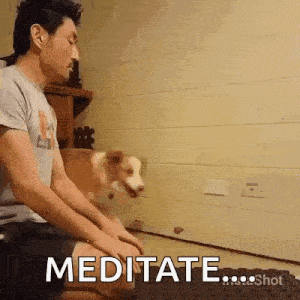 a man is meditating with a dog in the background and the dog is looking at him .