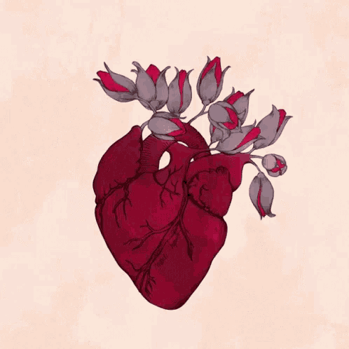 a drawing of a human heart with red roses coming out of it