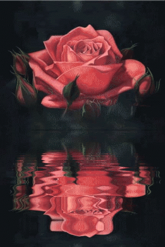 Roses GIF - Roses Rose GIFs