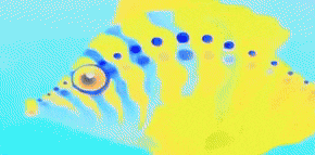 a yellow and blue fish with a big eye is swimming in the water