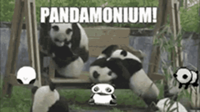 Pandamonium Pandemonium GIF - Pandamonium Pandemonium Panda GIFs