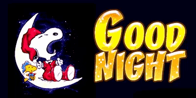 snoopy and woodstock sleeping on a crescent moon with the words " good night "