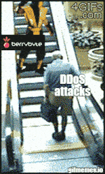 Berrybyte Ddos Attack GIF - Berrybyte Ddos Attack Ddos GIFs