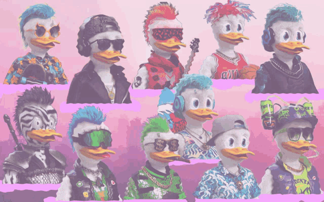 a collage of duck characters with one wearing a jersey that says ' miami ' on it