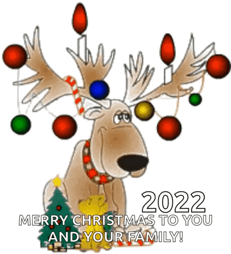 a cartoon of a reindeer with christmas lights on its antlers and the words merry christmas to you and your family