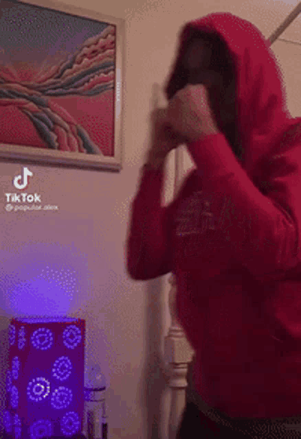 a person wearing a red hoodie is standing in front of a lamp and a painting .