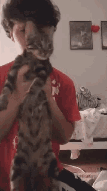 a man is holding a cat in his arms in a room .