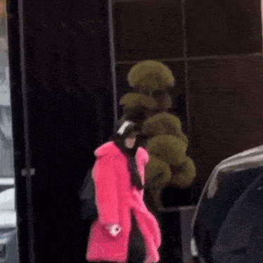 a person wearing a pink fur coat and a black hat