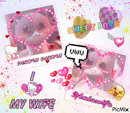 a picture of a cat with the words my wife malewife