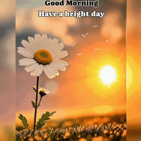 a picture of a daisy with the words good morning have a bright day