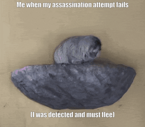 a picture of a rock that says " me when my assassination attempt fails "