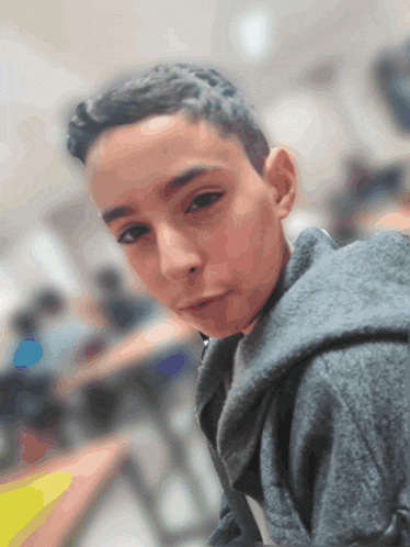a young boy wearing a gray hoodie looks at the camera