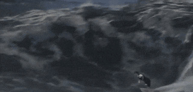 a surfer is being attacked by a large whale while riding a wave