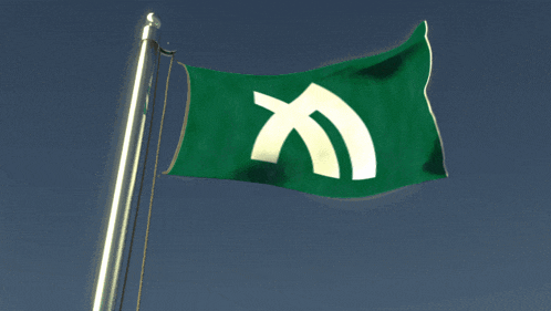 a green and white flag with the letter x on it