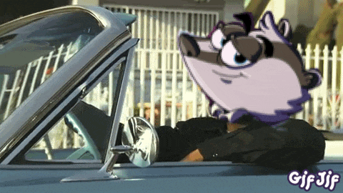 a gif of a raccoon driving a car with the words gif jif on the bottom