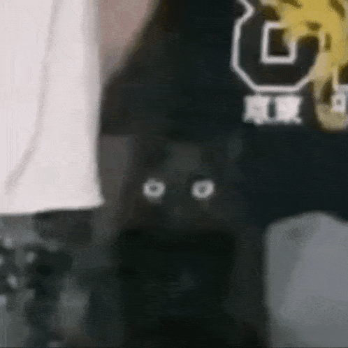 a black cat with white eyes is standing next to a person wearing a white shirt .