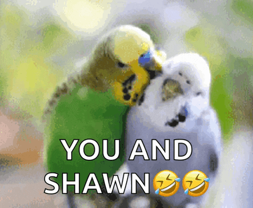 a picture of two birds with the words you and shawn on the bottom