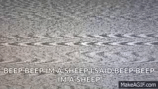 Beep Sheep GIF - Beep Sheep Tomska GIFs