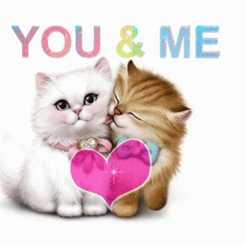 Love You Kitten GIF - Love You Kitten You And Me GIFs