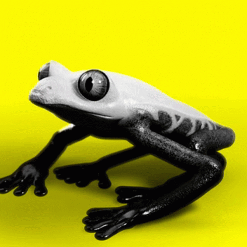 Yes Frog GIF - Yes Frog Yeah GIFs