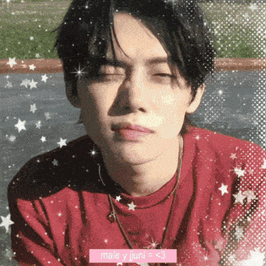 a man in a red shirt is surrounded by stars and says male y jjuni < 3