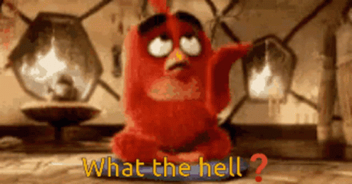 What The Hell Face Palm GIF - What The Hell Face Palm Angry Birds GIFs