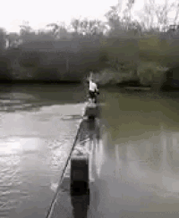 Slip Fall GIF