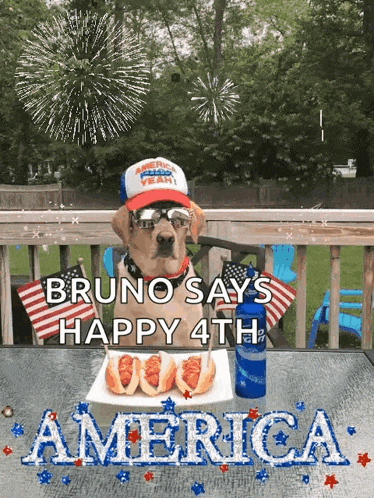 a dog wearing a patriotic hat and sunglasses says bruno says happy 4th america