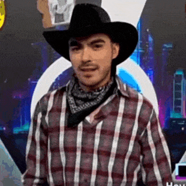 a man wearing a plaid shirt and a cowboy hat