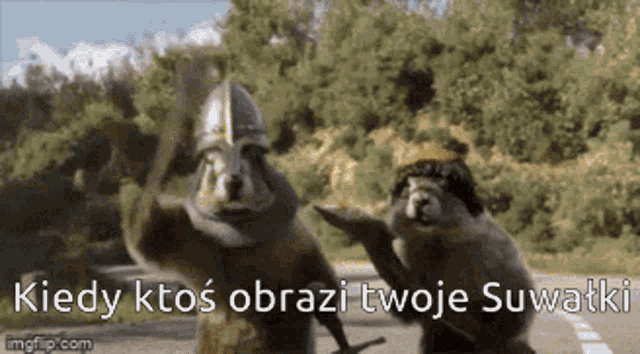 two squirrels are standing next to each other on a road wearing helmets .