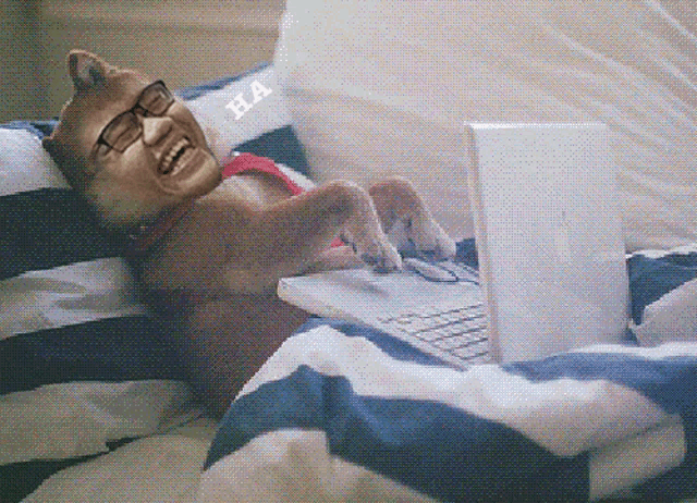 a dog wearing glasses is laying on a bed using a laptop with the letters ha above it
